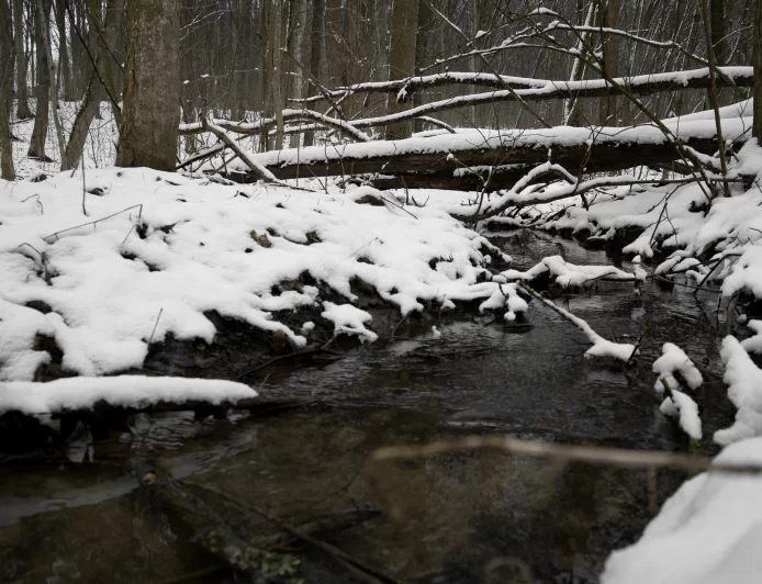 Vreme danas: Najviša temperatura od 7 do 13 stepeni