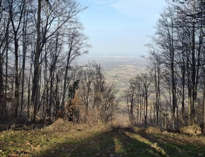 Narednih dana jutra prohladna, lokalno uz slab mraz