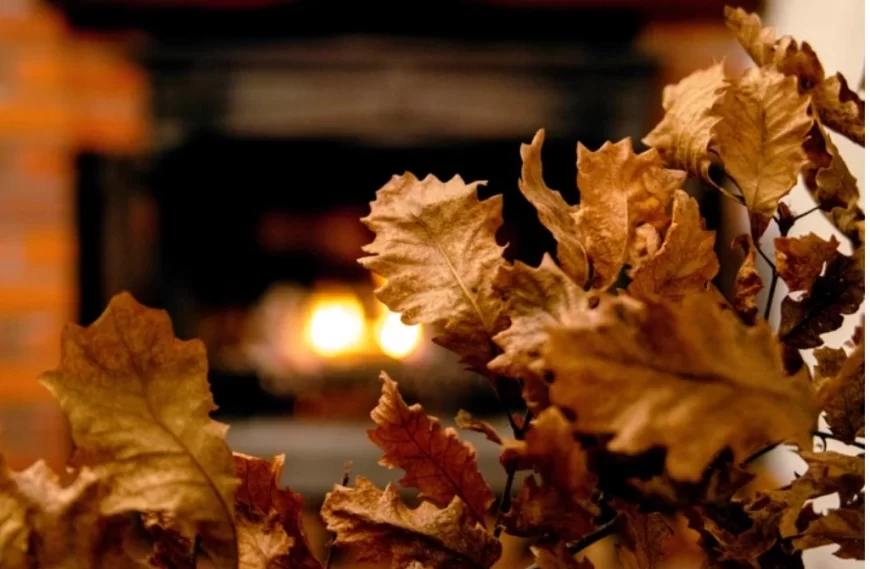 Badnji dan – dan običaja, porodičnog okupljanja i duhovne pripreme za Božić