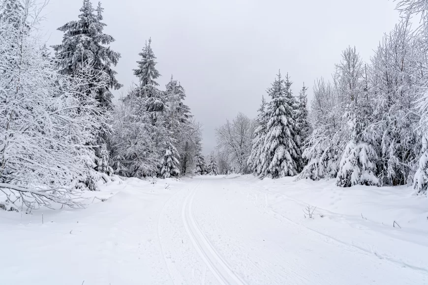 Hladno vreme uz sneg i mraz, slede postepeno razvedravanje i porast temperature