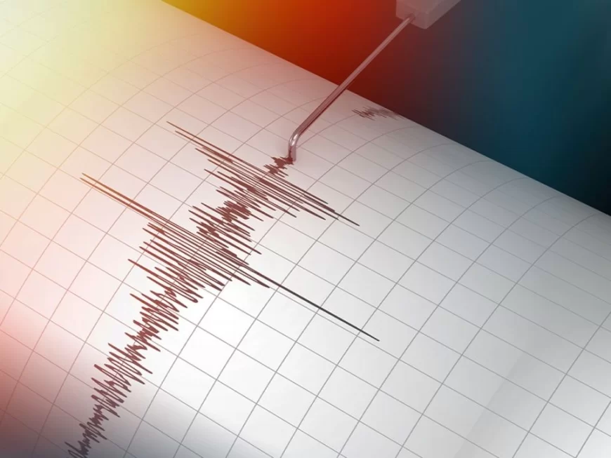 Slab zemljotres magnitude 1,7 pogodio područje kod Krupnja tokom noći