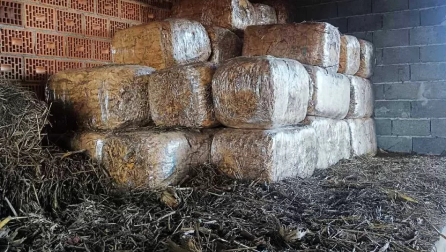 Zaplenjeno više od tri tone duvana u Šapcu: Osumnjičen oštetio budžet Srbije za skoro 28 miliona dinara