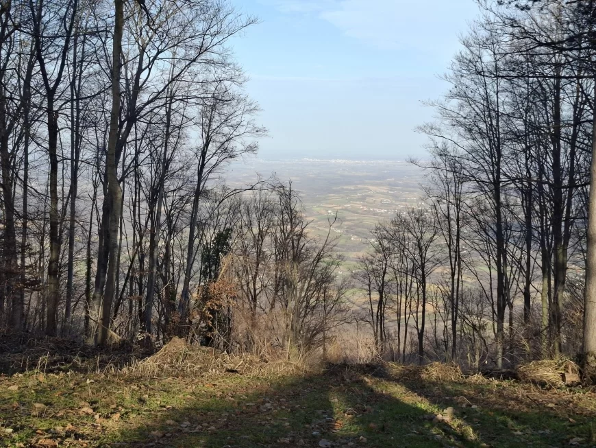 Narednih dana jutra prohladna, lokalno uz slab mraz