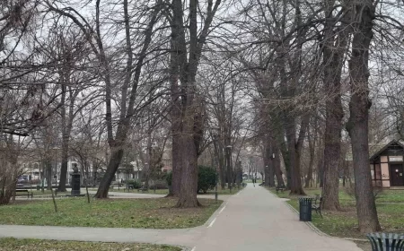 Vreme danas oblačno sa lokalnom pojavom slabe kiše