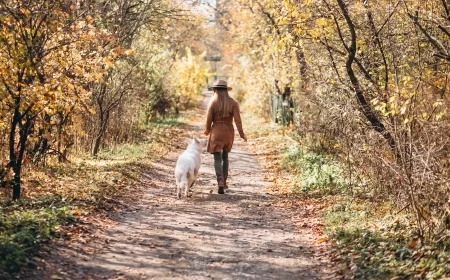 Evo zašto za Sretenje dobijamo još jedan neradan dan