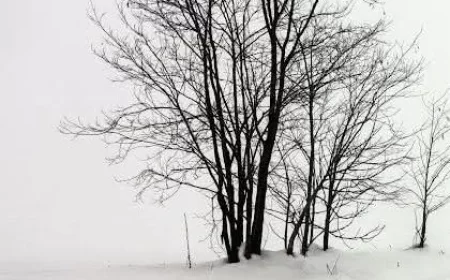 18. izložba Šabačke fotografske zadruge