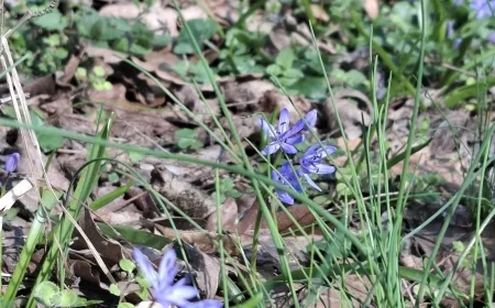 Danas toplo, temperatura do 20 stepeni