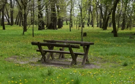 DO PONEDELJKA PRETEŽNO SUNČANO I TOPLO VREME ZA OVAJ PERIOD GODINE, OD UTORKA SVEŽIJE