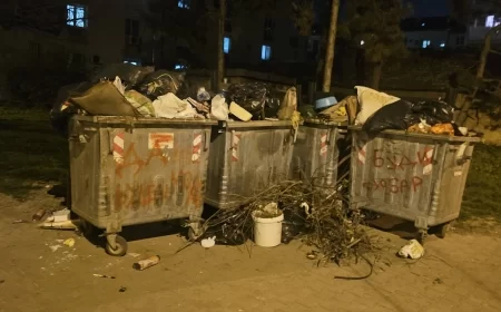 MONARHISTI ŠABAC: Šabac liči i miriše na lokalnu vlasti