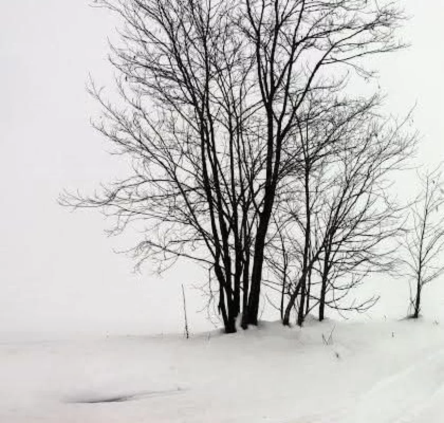 18. izložba Šabačke fotografske zadruge