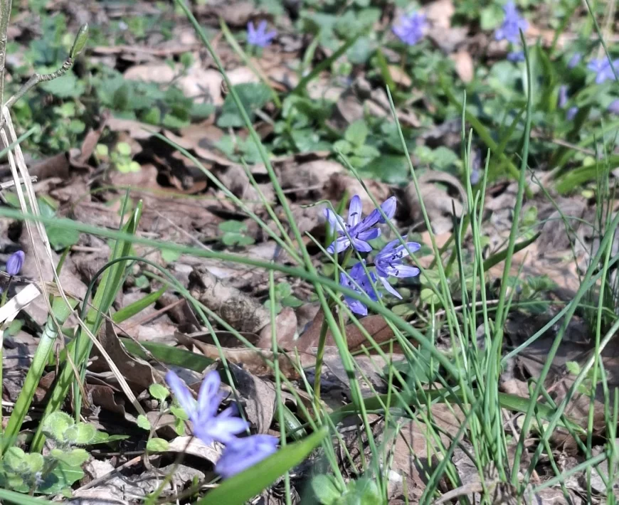 Danas toplo, temperatura do 20 stepeni