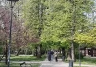 1. maj Međunarodni dan rada