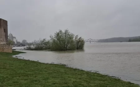 Uvedena redovna odbrana od poplava na Savi kod Šapca