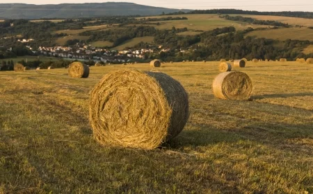 Vlada Srbije podigla cenu dizela za poljoprivrednike