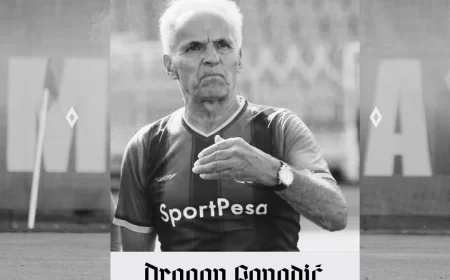 In memoriam Dragan Popadić