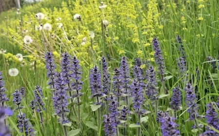 Pretežno sunčano i toplo vreme