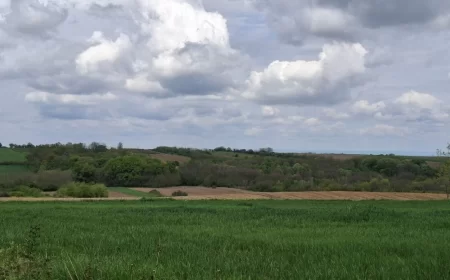 Vreme danas sunčano, najviša temperatura do 24 stepena