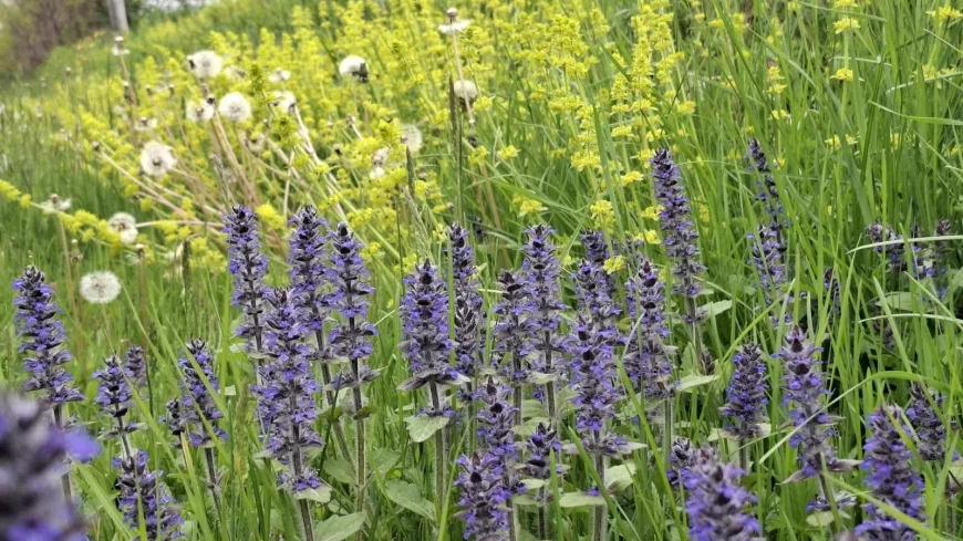 Pretežno sunčano i toplo vreme