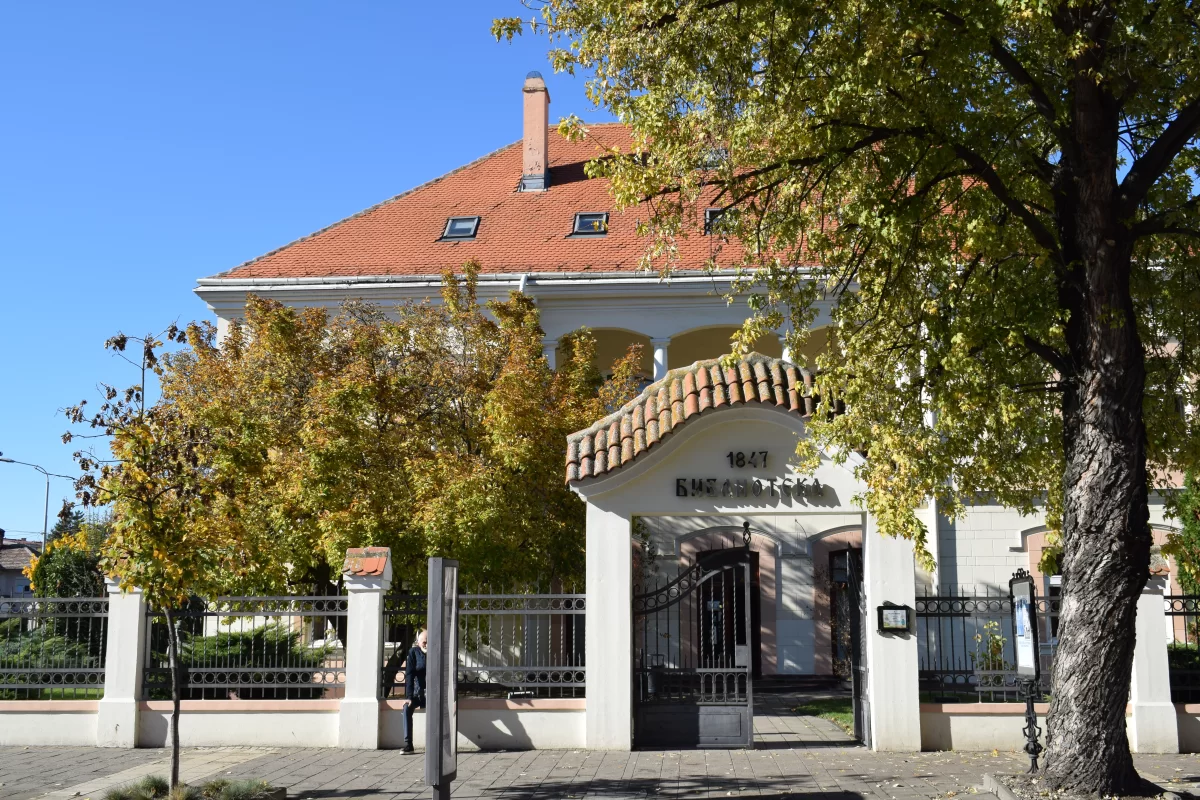 Biblioteka šabačka obeležava Međunarodni dan dece bogatim programom