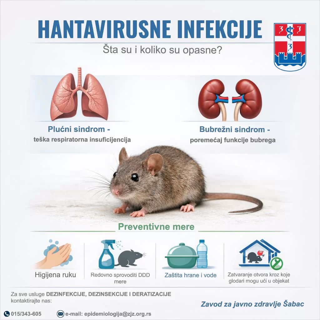 Hantavirusne infekcije – šta su i koliko su opasne?