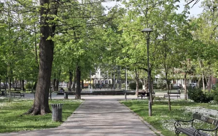 Jutro sveže, tokom dana pretežno sunčano