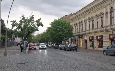 Danas promenljivo oblačno