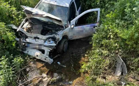 Automobil sleteo u reku Cernicu kod Šapca, vozača izvukli vatrogasci