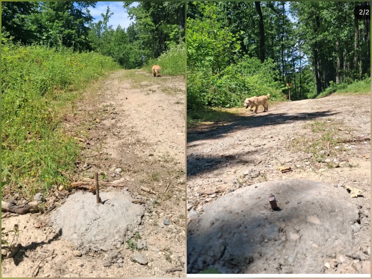 OPREZ NA CERU! Iz betona vire šipke armature na šumskom putu ka Trojanovom gradu