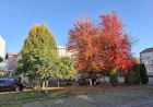Većina kolektiva Mačvanske srednje škole protiv inicijative za smenu direktorke