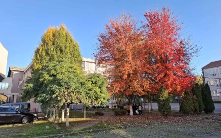 Većina kolektiva Mačvanske srednje škole protiv inicijative za smenu direktorke