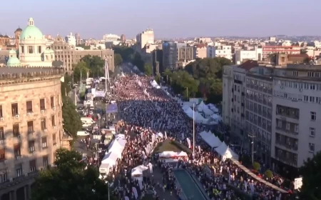 Arhiv javnih skupova: Na skupu „Srbija jedna porodica“ bilo 32.500 ljudi, MUP saopštio da ih je bilo 207.000