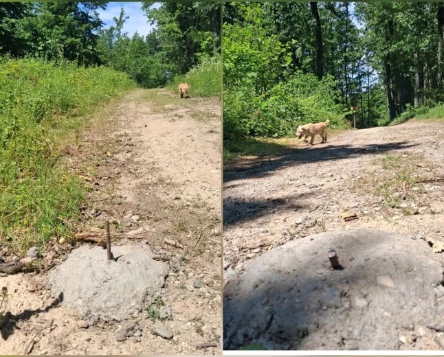 OPREZ NA CERU! Iz betona vire šipke armature na šumskom putu ka Trojanovom gradu