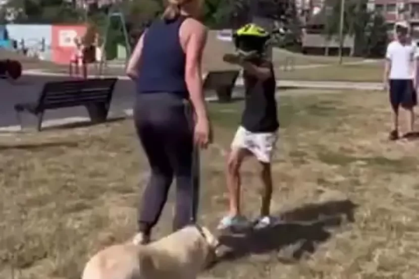 Nakon snimka iz Šapca zatražena istraga zbog navodnog napada na maloletnika