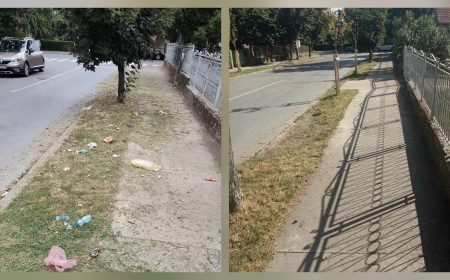 JKP „Stari grad“: Nismo kosili u Ulici Milutina Bojića