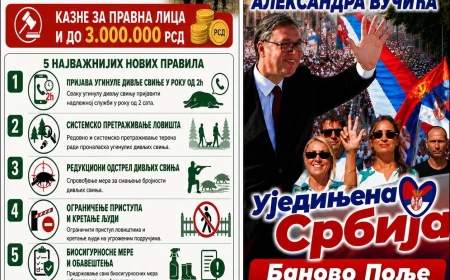 GG Pobeda za Mačvu: "Stranaka zabava bez obzira na Afrička kuga svinja"