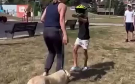 Nakon snimka iz Šapca zatražena istraga zbog navodnog napada na maloletnika