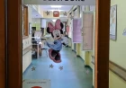 U šabačkom porodilištu rođene 22 bebe