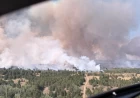 DELIBLATSKA PEŠČARA GORI. I VIŠE NEMAMO PRAVO DA ĆUTIMO.