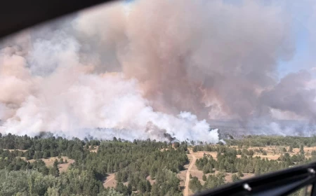 DELIBLATSKA PEŠČARA GORI. I VIŠE NEMAMO PRAVO DA ĆUTIMO.