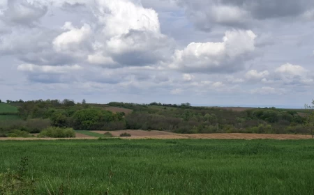 Promenljivo danas, od sutra ponovo toplije i do 31 stepen