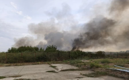 Požar u Mišaru: Gorelo šiblje i divlja deponija