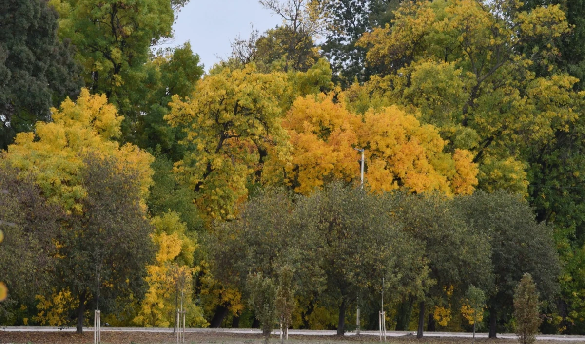 Danas svežije uz kišu i lokalne pljuskove, za vikend više sunca