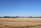 Suša menja pravila setve pšenice: Kako pripremiti leju kada zemlja nema dovoljno vlage?