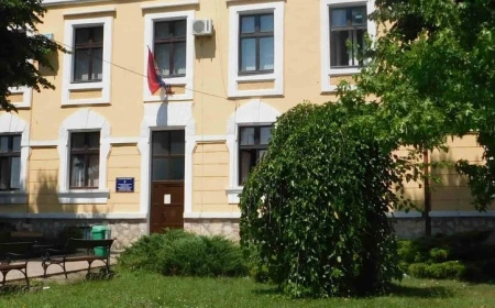 Opština Vladimirci odgovorila na optužbe Nataše Basta Đorđević: „Nemamo saznanja o pritiscima“