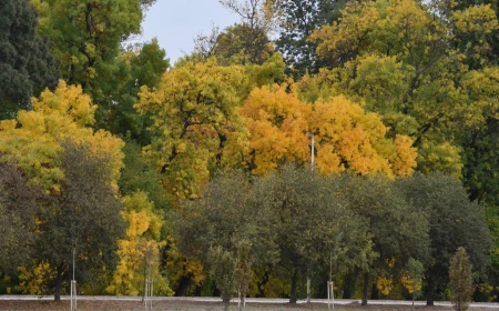 Danas svežije uz kišu i lokalne pljuskove, za vikend više sunca